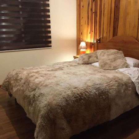 Ruka Pucon Hostel Bagian luar foto